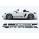 Boxster 718-981 stripes kit